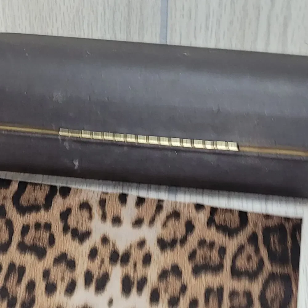 Roberto Cavalli Brown Unisex Eye Hard Glass Case And Towel